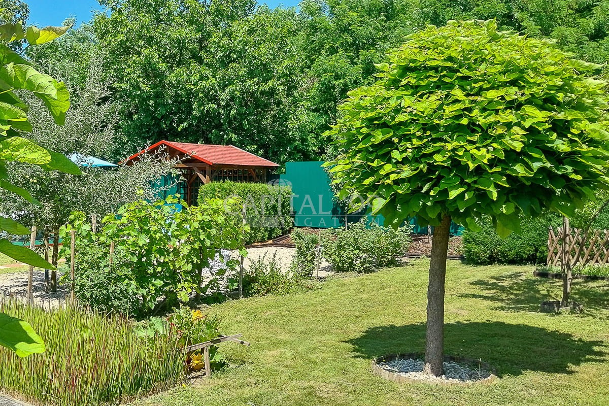 Family House - 4408