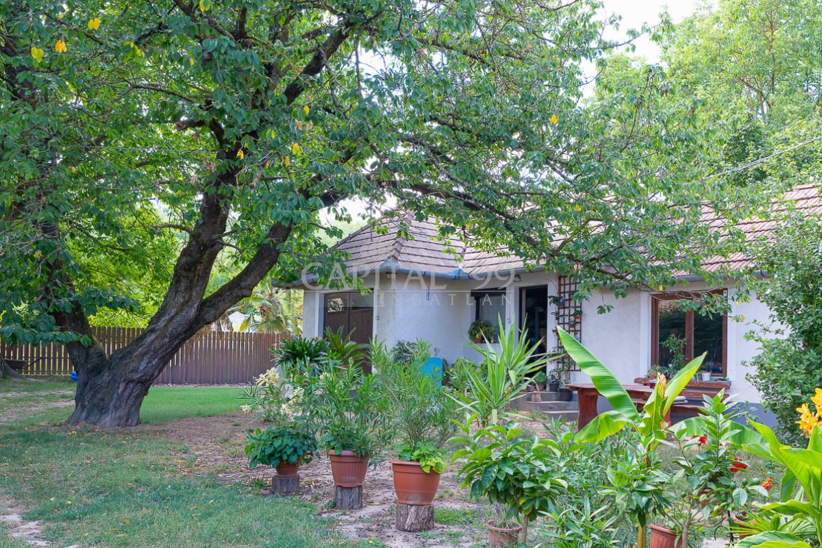 Family House - 4410