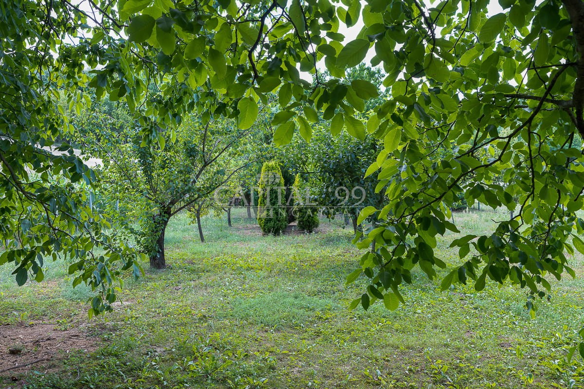 Family House - 4410