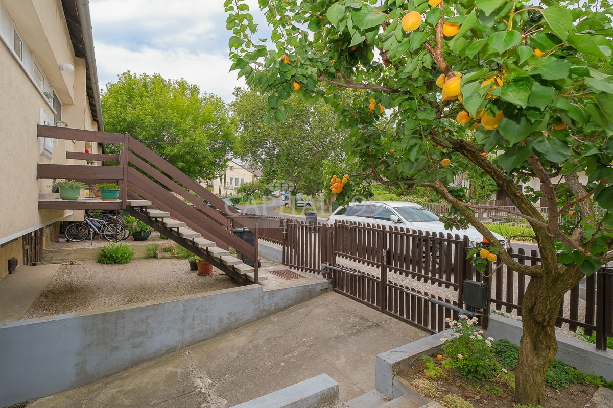 Rowhouse - 4414