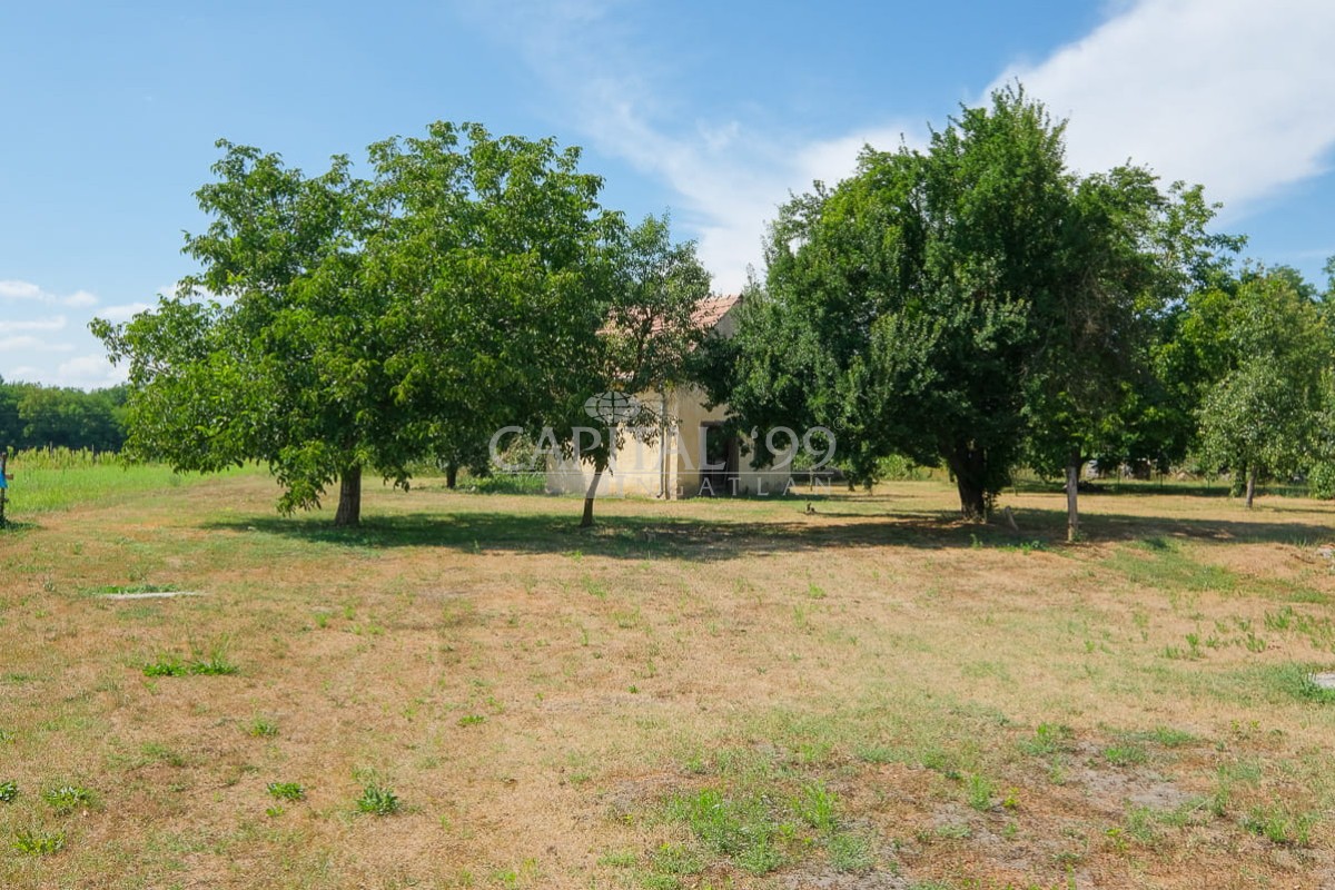 Family House - 4415