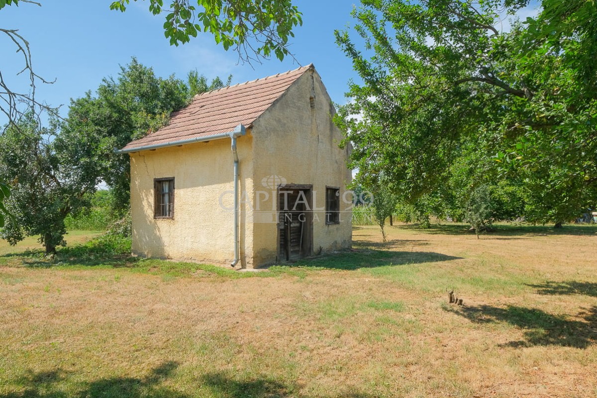 Family House - 4415