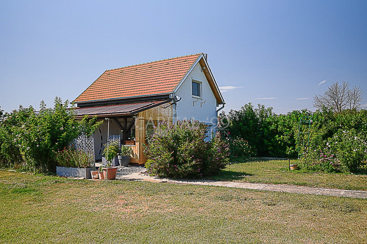 Family House - 4423