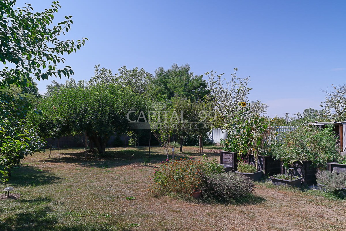 Family House - 4423